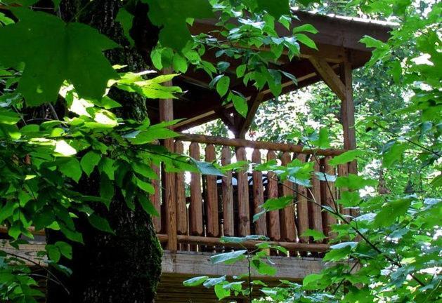#2903 Abundantly Blessed Βίλα Pigeon Forge Εξωτερικό φωτογραφία